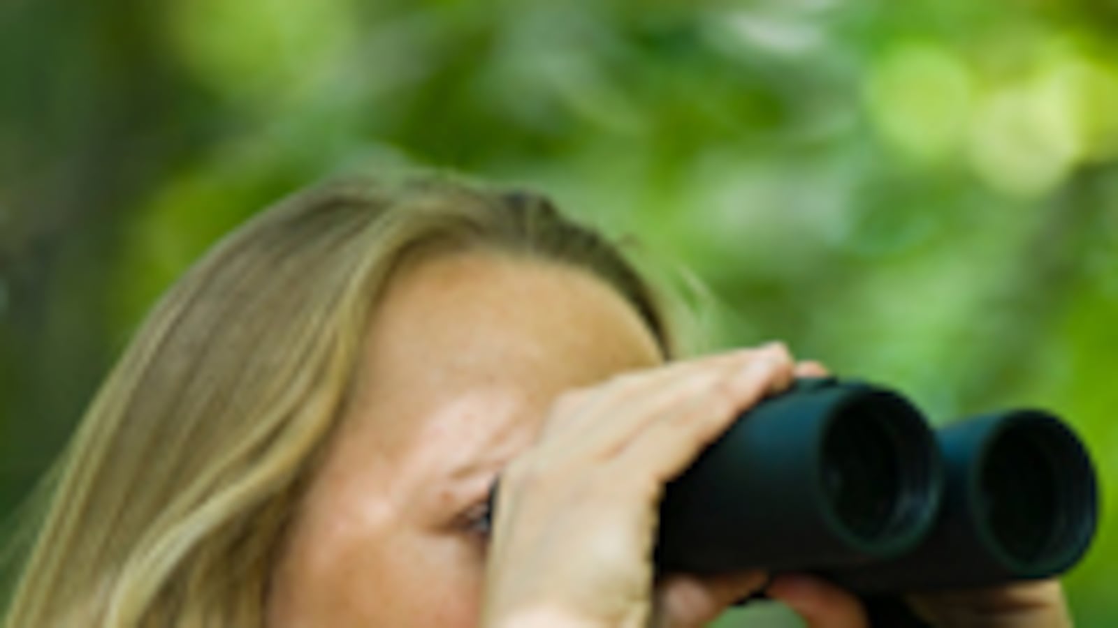 articles/2009/04/12/one-year-to-live/gentile-one-year-to-live-bird-watching_21971_cj5ytl