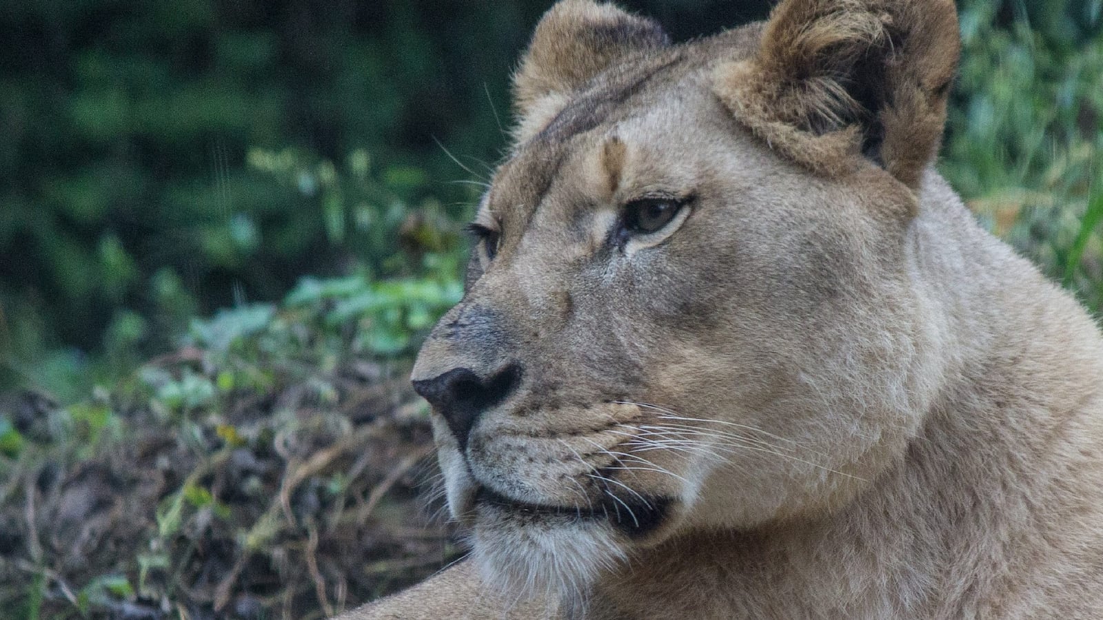 294193341_10160378234384680_2209667338252234479_n_aqsi2d