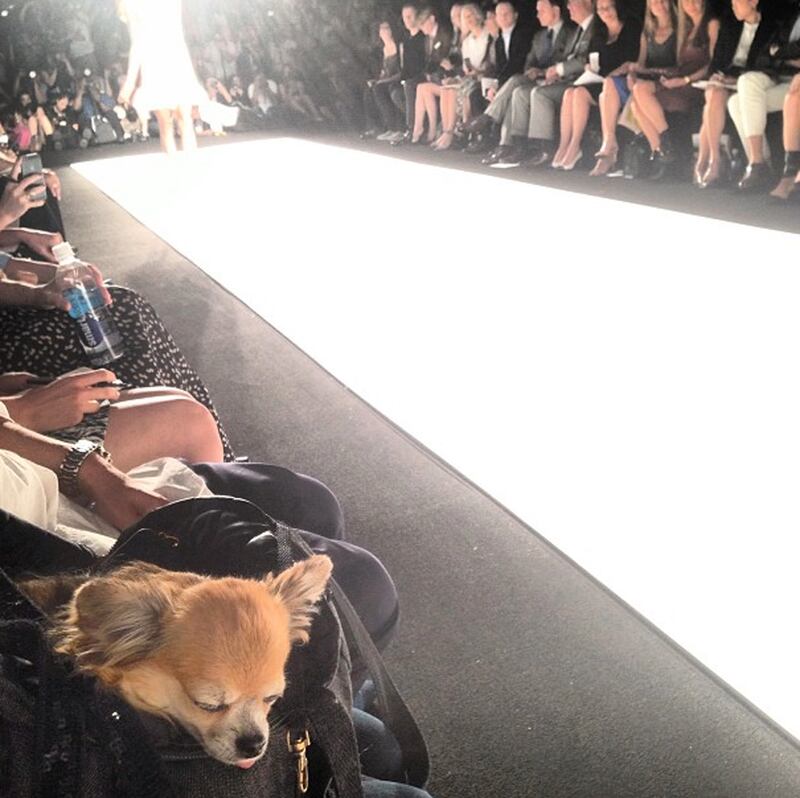galleries/2013/09/15/13-best-fashion-instagrams-of-the-week/130912-joanna_rmhetw