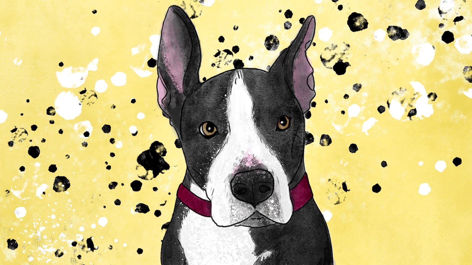 210530-kloczko-dog-adoption-tease_lxgiyh