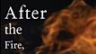 articles/2009/08/18/the-daily-beast-recommends-23/book-highlight---after-the-fire-a-still-small-voice_ezs1hb