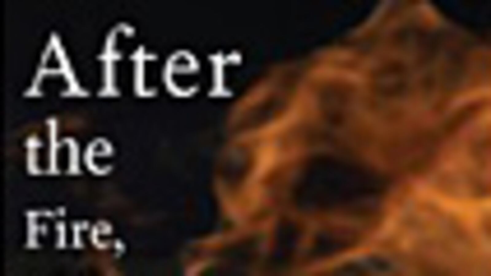 articles/2009/08/18/the-daily-beast-recommends-23/book-highlight---after-the-fire-a-still-small-voice_ezs1hb