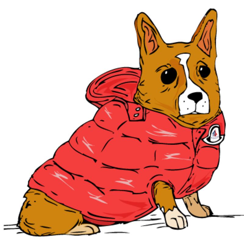 galleries/2013/01/10/wear-this-to-that-an-amazing-new-tumblr/corgi-wear-this-to-that_zneard