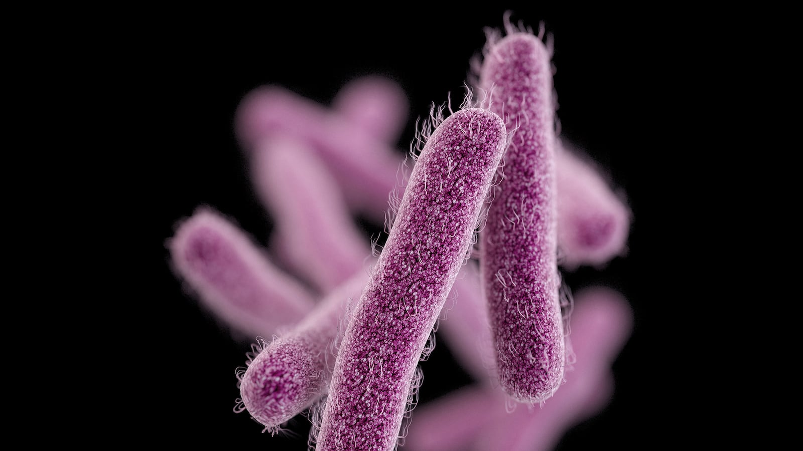 articles/2015/04/04/stop-worrying-about-drug-resistant-bugs/150403-sepowitz-food-poisoning-tease_unmfse