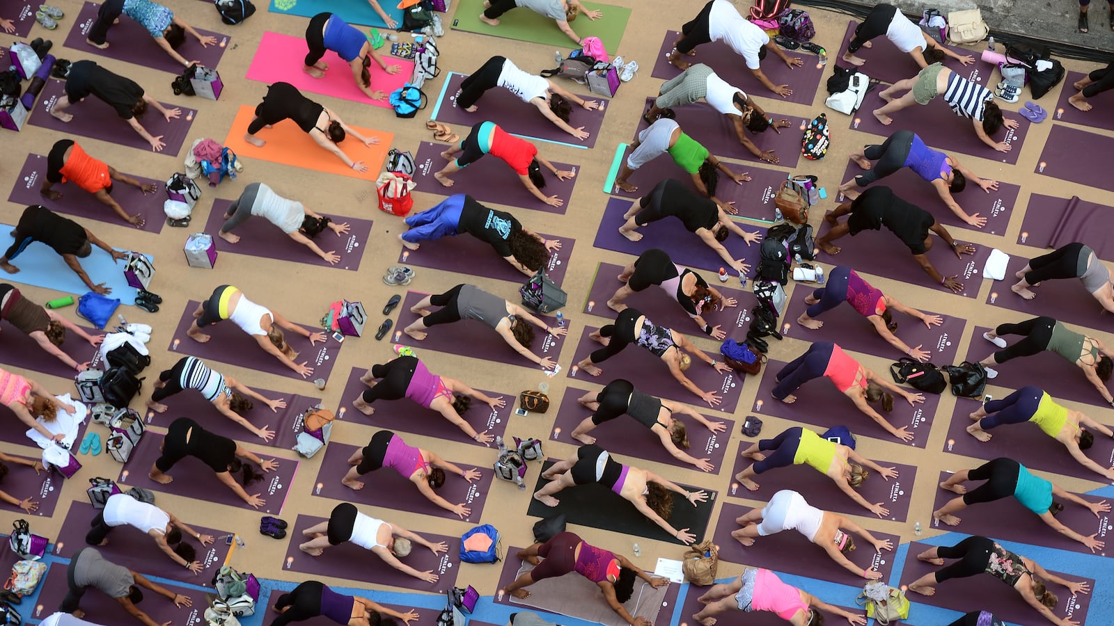 articles/2013/11/07/lululemon-founder-says-its-pants-don-t-work-for-everyone-alexa-chung-snubbed-by-british-fashion-awards/lululemon_earning_report_lkljwu