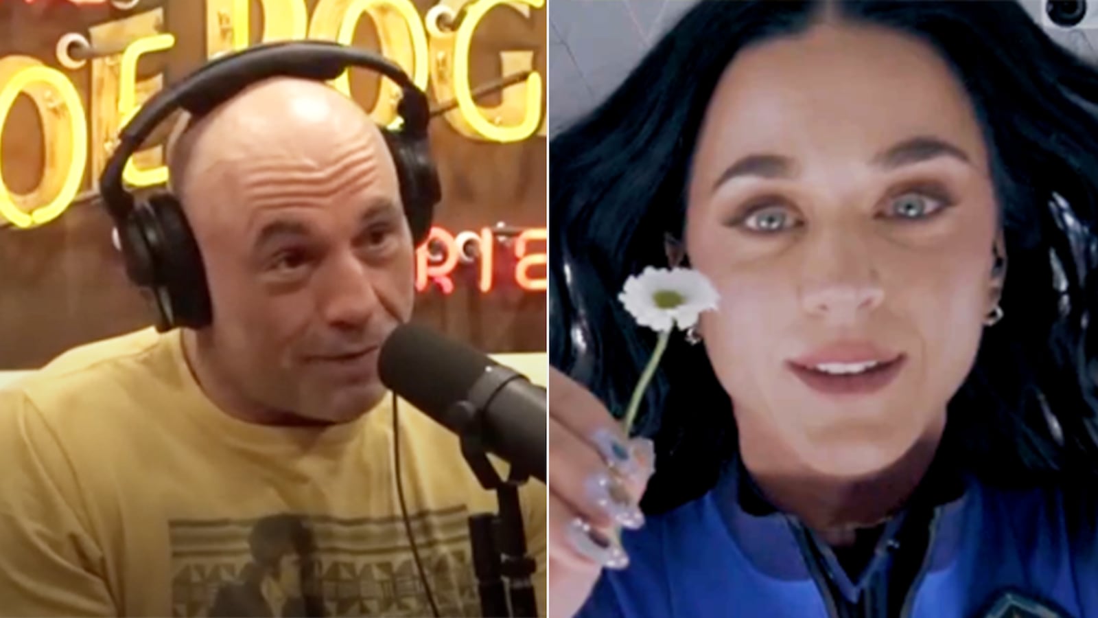 Joe Rogan, Katy Perry split image