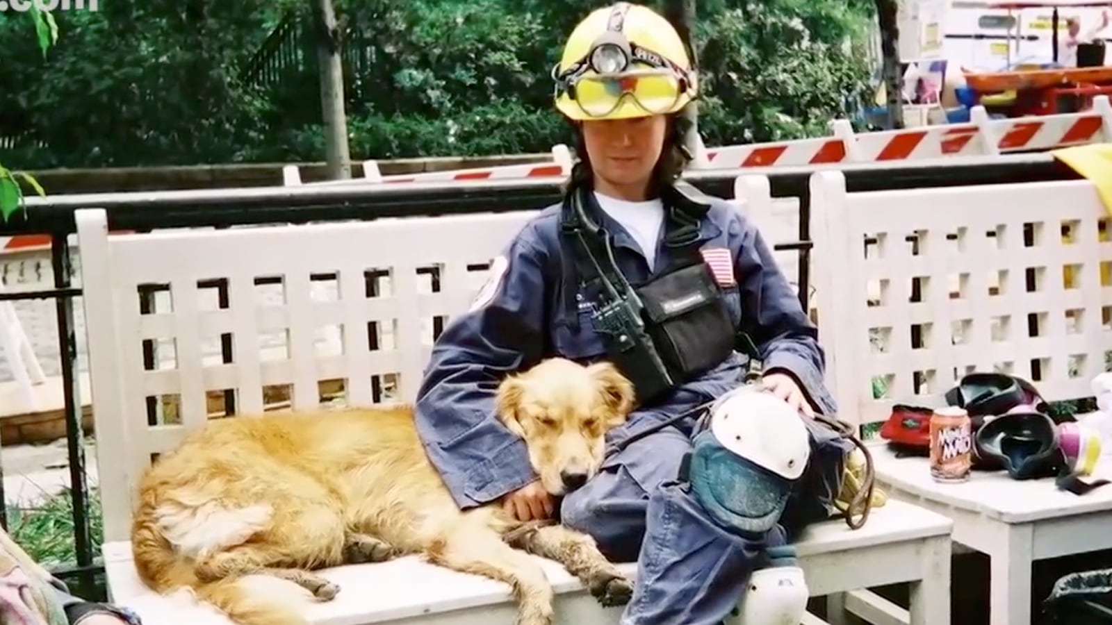 articles/2015/09/11/video-celebrate-9-11-s-last-rescue-dog/20150911-911DOG-JOINER_pkrrxq