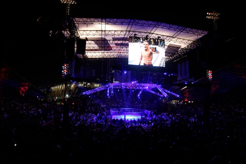 A view of the Ultimate Fighting Championship (UFC) octagon during the UFC tournament in Abu Dhabi April 10, 2010