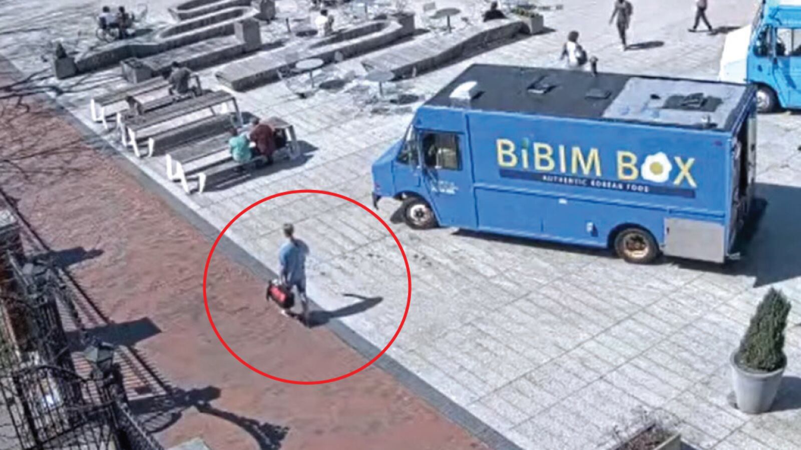 230502-rohrlich-harvard-bomb-embed_ruiwvk