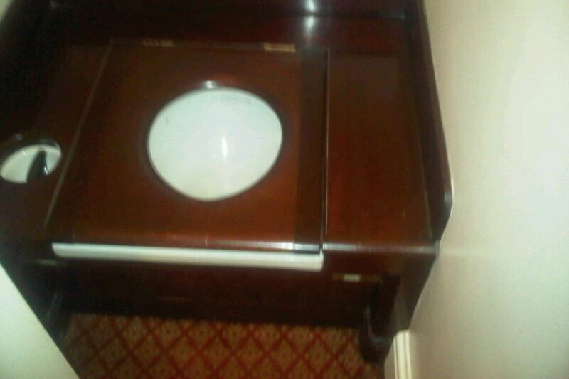 articles/2012/11/06/exclusive-the-ladies-wc-at-buckingham-palace/loo-buck-pal_apiwua