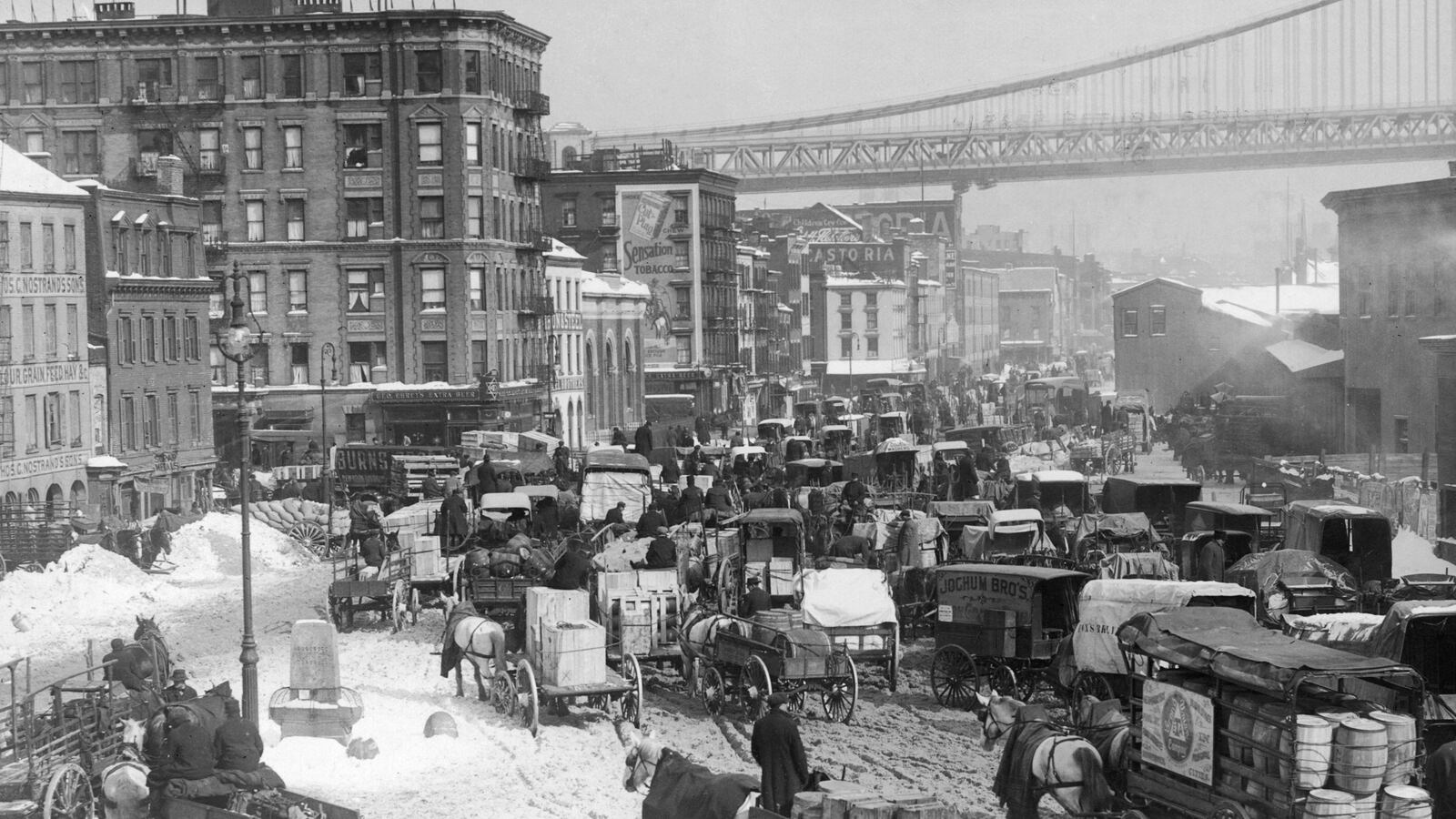 articles/2013/11/29/history-broke-us-one-jewish-family-s-20th-century/131127-mcauley-family-tease_vbsudp