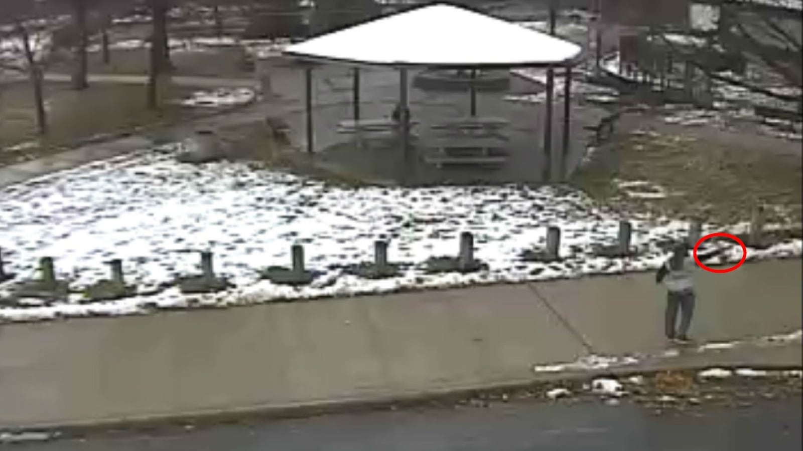 cheats/2014/12/13/coroner-tamir-rice-s-death-was-homicide/141203-tamir-rice-cheat_btzond