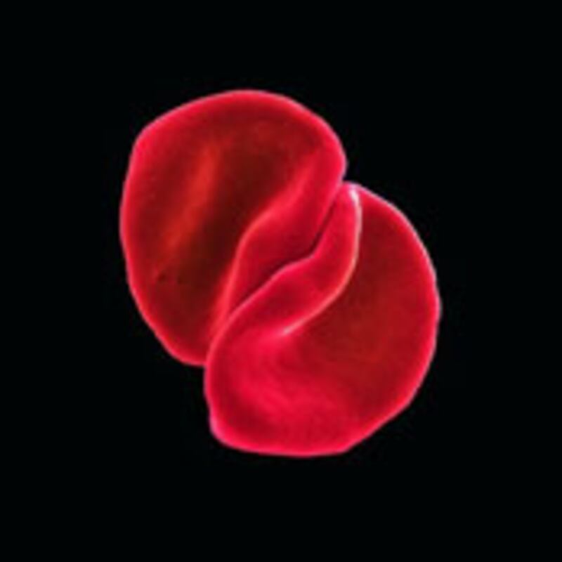 articles/2010/03/04/the-yes-list-an-indie-film-dials-l-for-love/peter-gabriel_y8a6hc