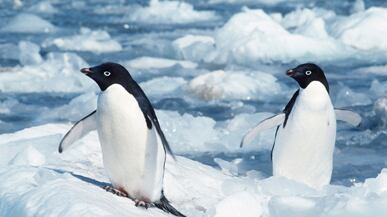 articles/2010/10/13/global-warming-denial-explained-by-rebecca-costa/costa-global-warming_133403_lnx2z7