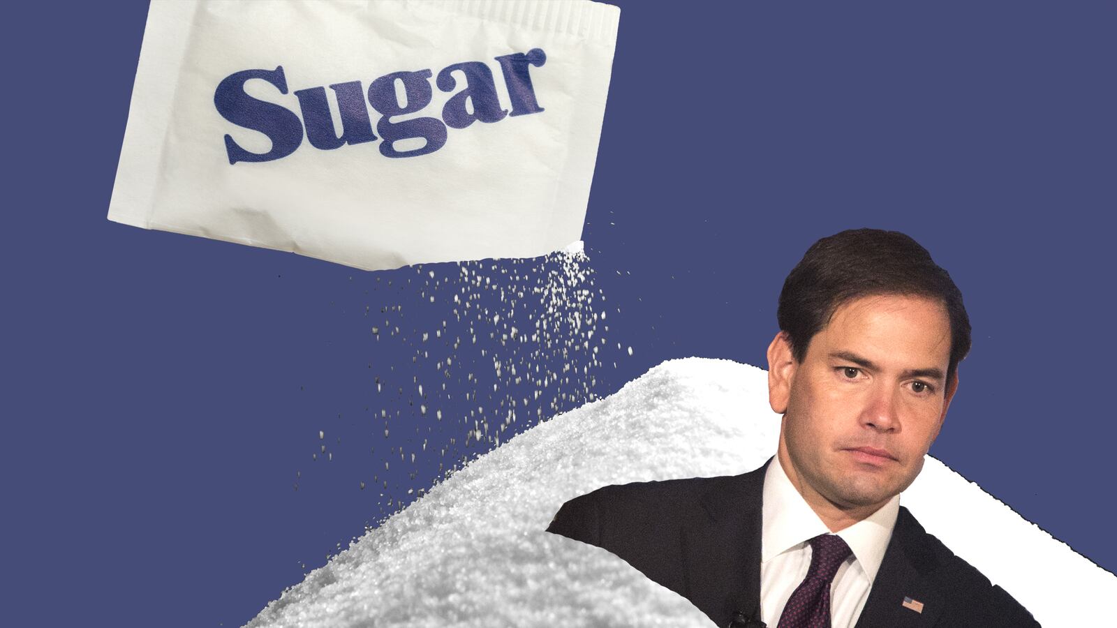 articles/2015/09/01/rubio-a-spoonful-of-sugar-keeps-the-terrorists-away/150831-woodruff-rubio-sugar-tease_nlsojc