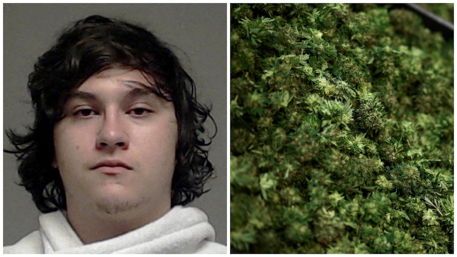 Joshua Jahn and cannabis