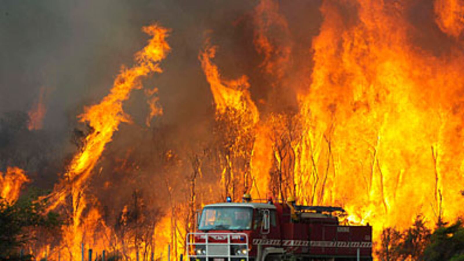 cheats/2009/02/16/australias-arson-suspect/bushfires_on8mxs