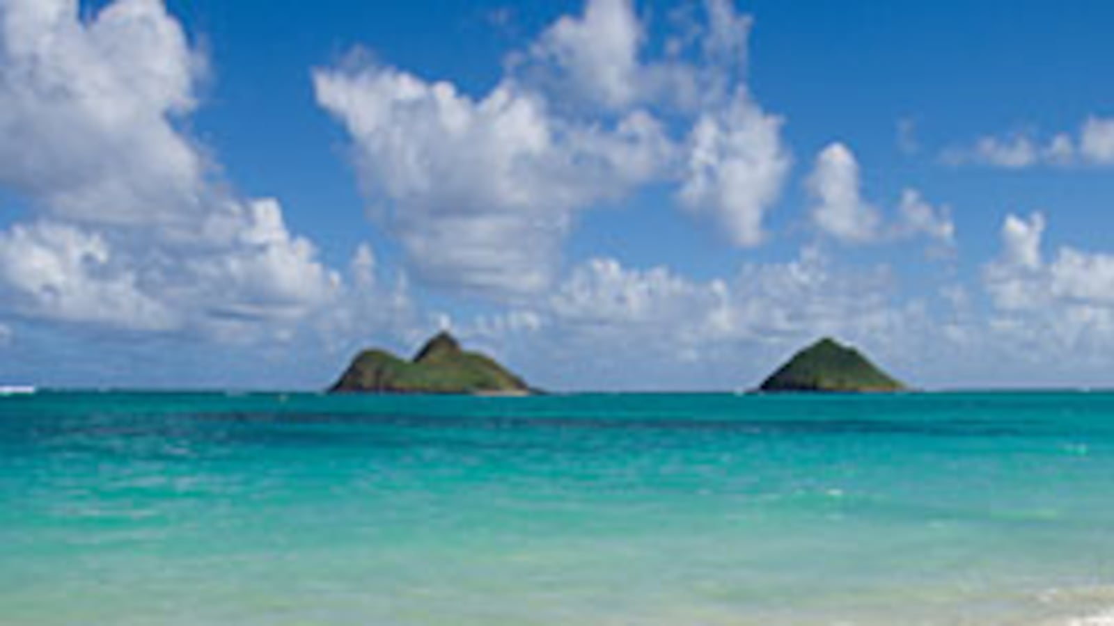 cheats/2008/12/26/reporters-holiday-in-hawaii/reporters-holiday-in-hawaii_ptegg6