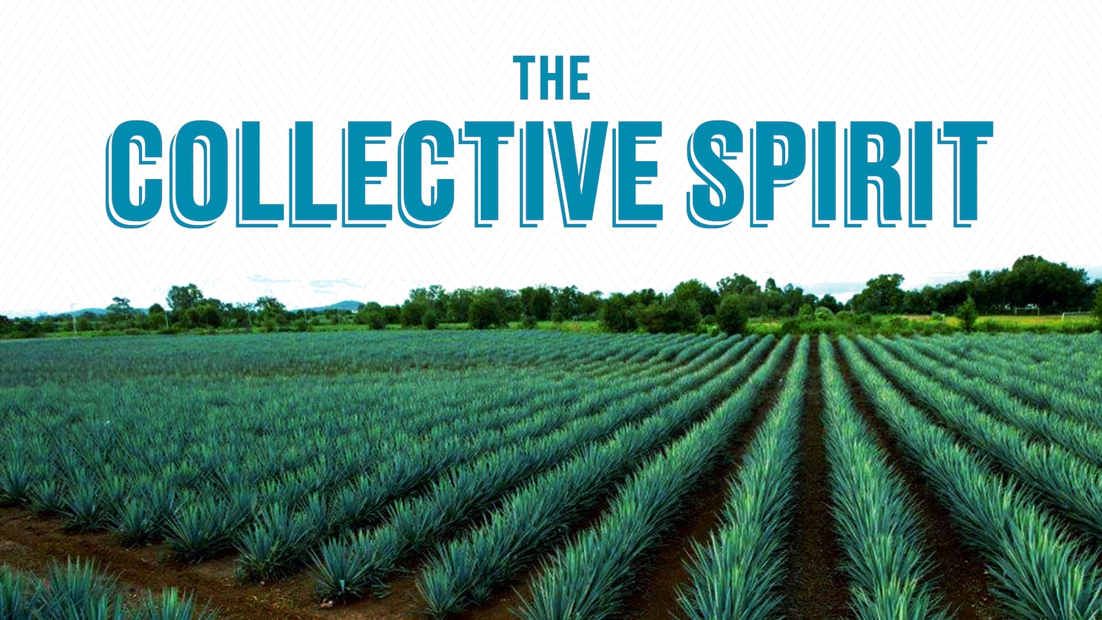 AltosArticleHeader_ty9cpy