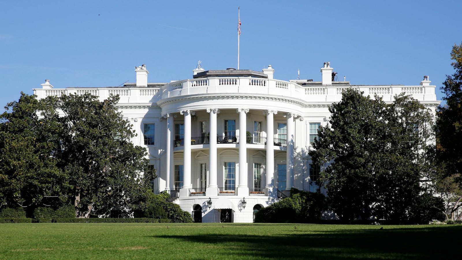 180103-white-house-cell-ban-cheat_ehboz6