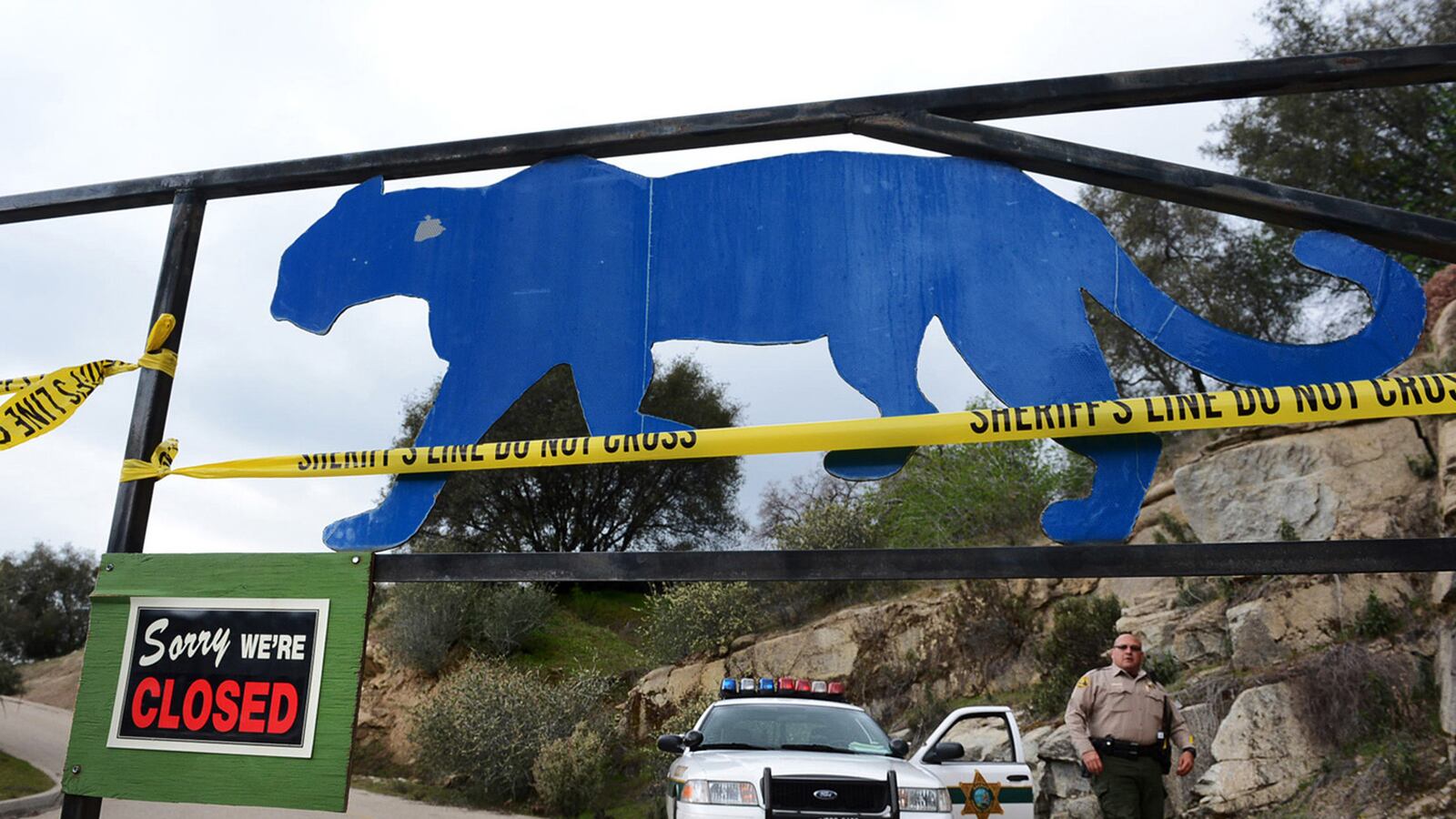 articles/2013/03/08/tragedy-in-a-lion-s-lair-sanctuary-intern-died-following-her-passion/130307-ca-lion-death-pelisek-tease_cx99bb