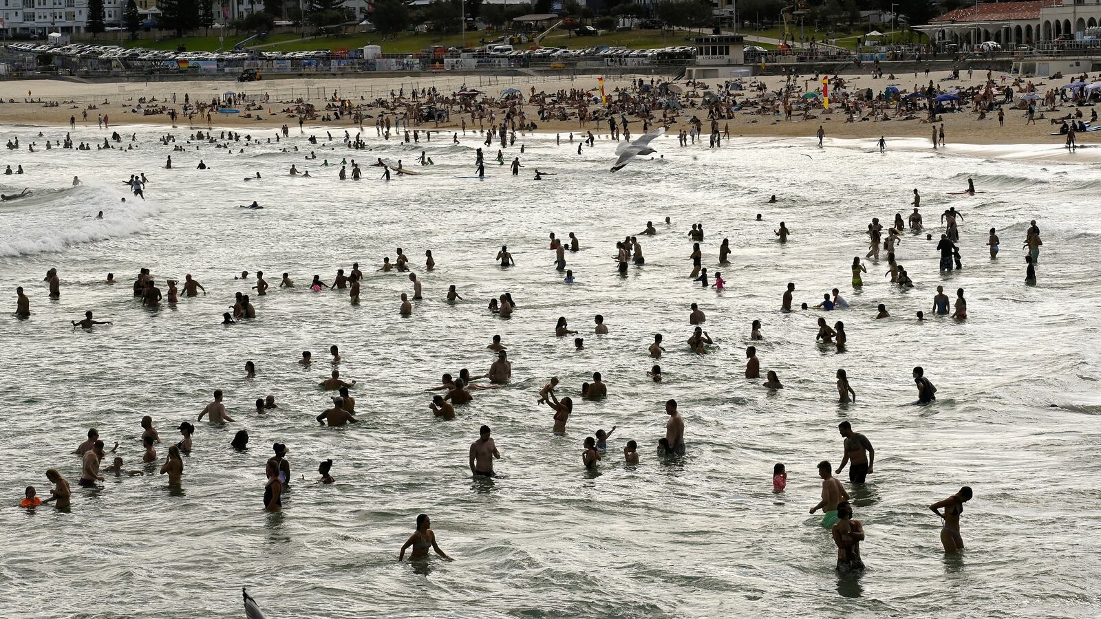 Alen Moradian was shot in a car park near Bondi Beach.