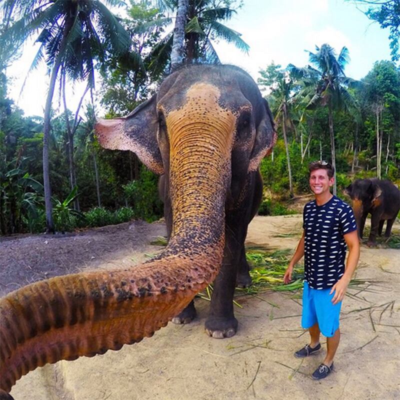 galleries/2015/06/01/when-animals-take-selfies-photos/150601-animal-selfies-01_boqpsp