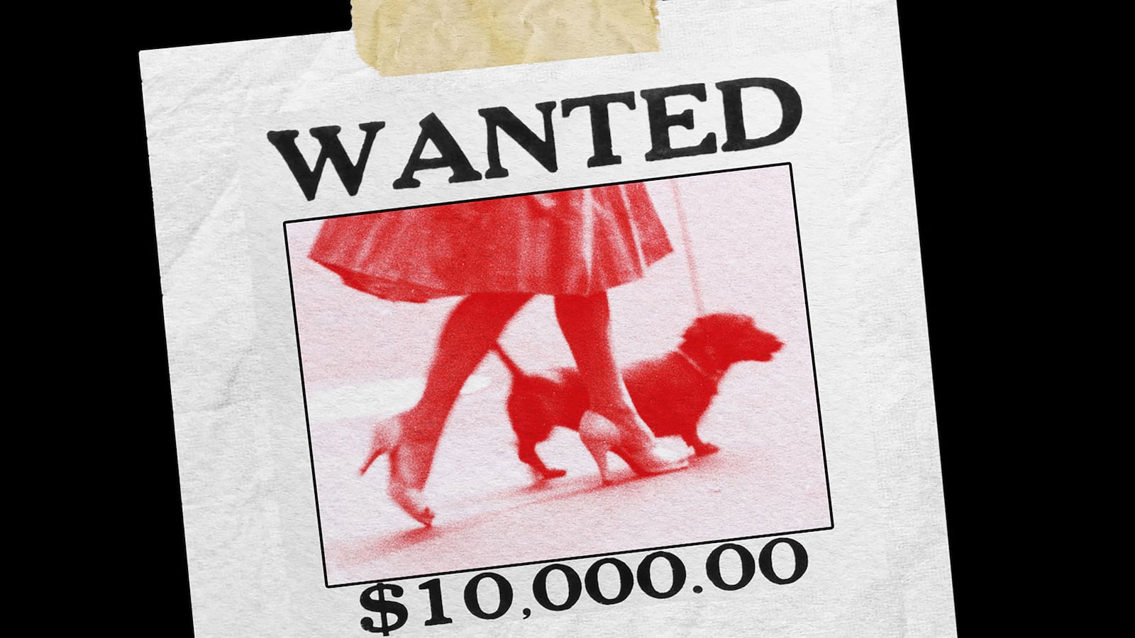 230415-tna-bonus-maga-loser-dogs-women-illegal-hero-1_s51mrp