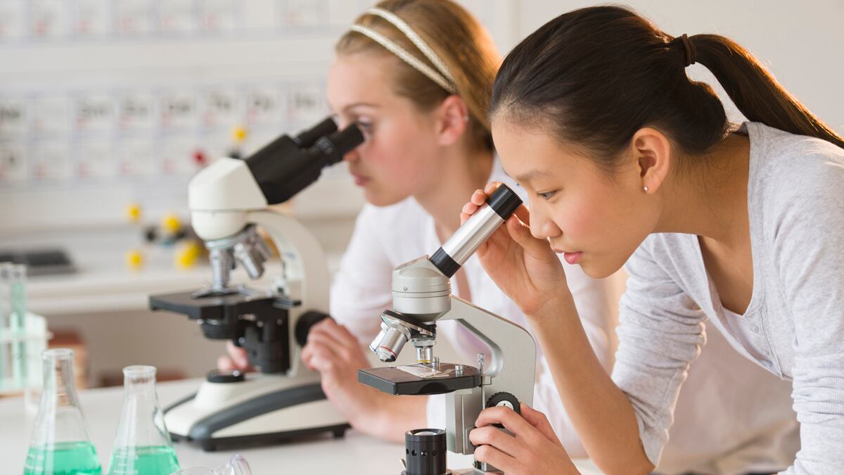 articles/2012/09/10/science-teaching-vs-aircraft-carriers/education-and-aircraft-carriers-levy_jep4bd