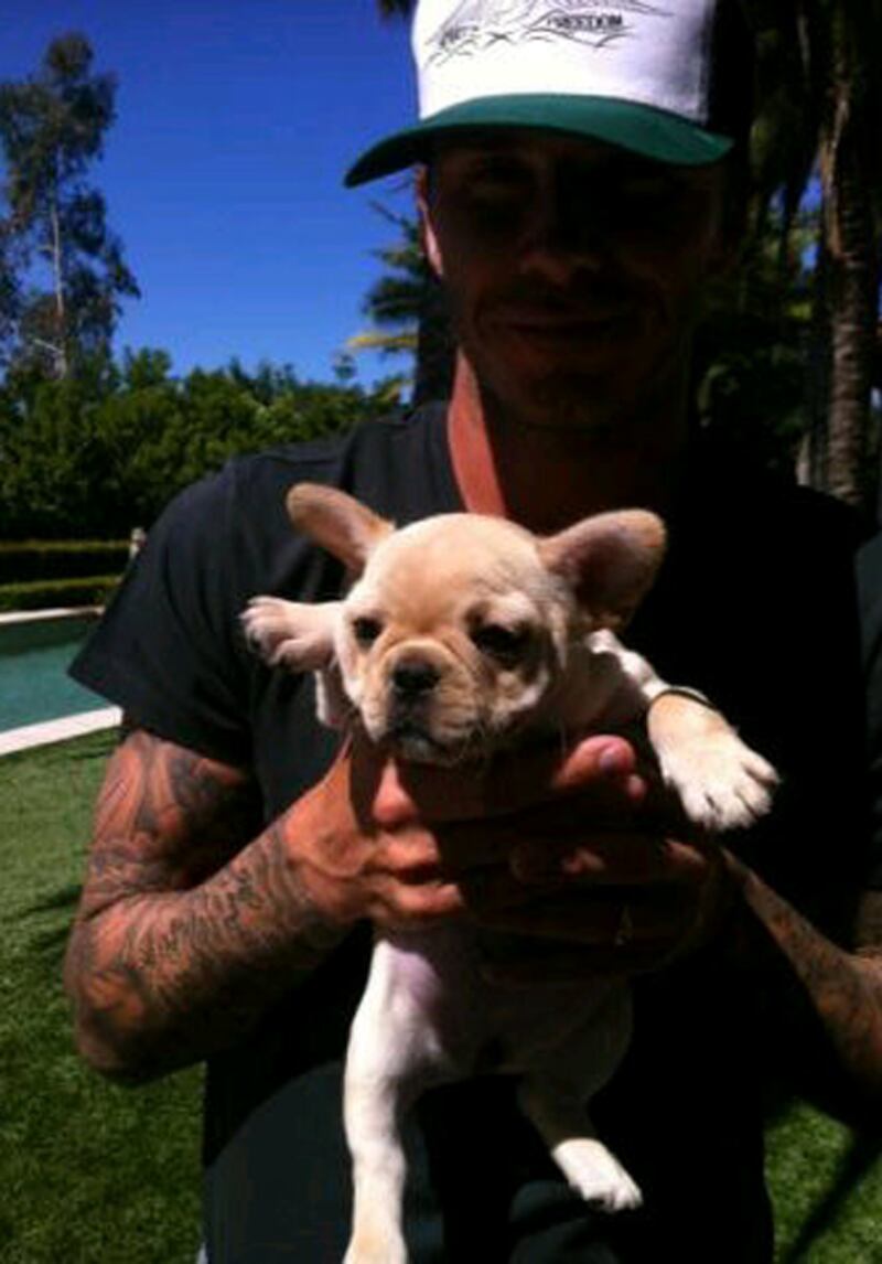 galleries/2011/05/26/best-celebrity-twitter-pictures/mp---gallery-week-in-twit-pivictoria-beckham_xllqse