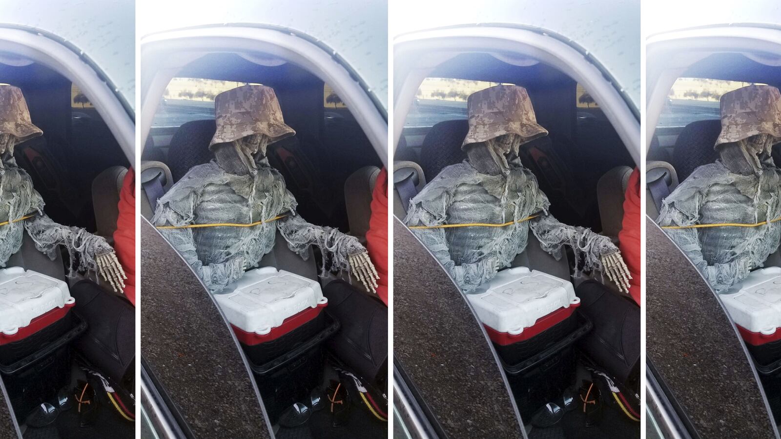 200125-montgomery-HOV-skeleton-hero_rvhkbo