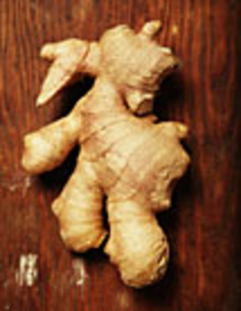 articles/2009/12/22/fresh-picks-26/fresh-picks-1223---recipe_spdsqc