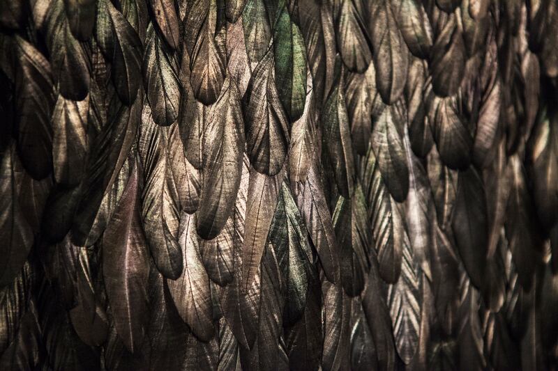 galleries/2014/03/29/birds-of-paradise-feathers-in-fashion-at-antwerp-s-fashion-museum-photos/gal-birds-paradise-05_e5cv1t