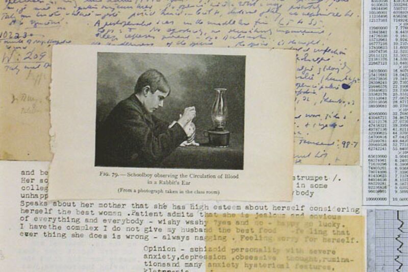 articles/2011/12/31/old-anxieties-get-a-new-life-artist-janet-malcolm-digs-up-ancient-case-files-from-a-mystery-psychiatrist/janet-malcolm-schwartz-tease_eyg1vc