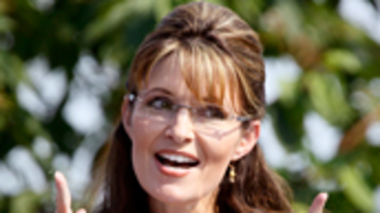articles/2009/11/15/leave-palin-alone/siegel-sarah-palin_63070_ff8seu