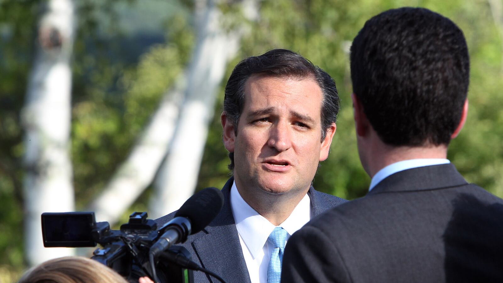 cheats/2013/08/26/ted-cruz-i-m-an-american-only/130826-cruz-canadian-cheat_saabhr