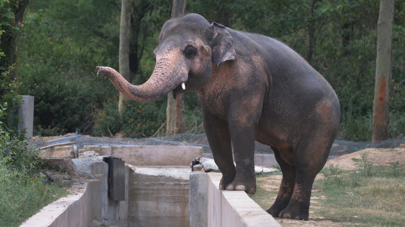 GettyImages-545290770_jvwwzx