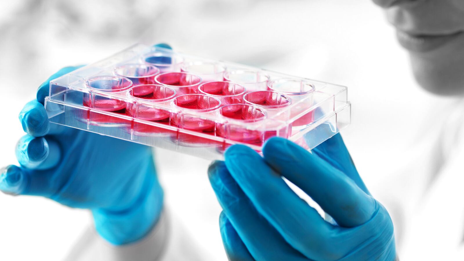 181004-Kaiser-fetal-tissue-tease_gooqe8