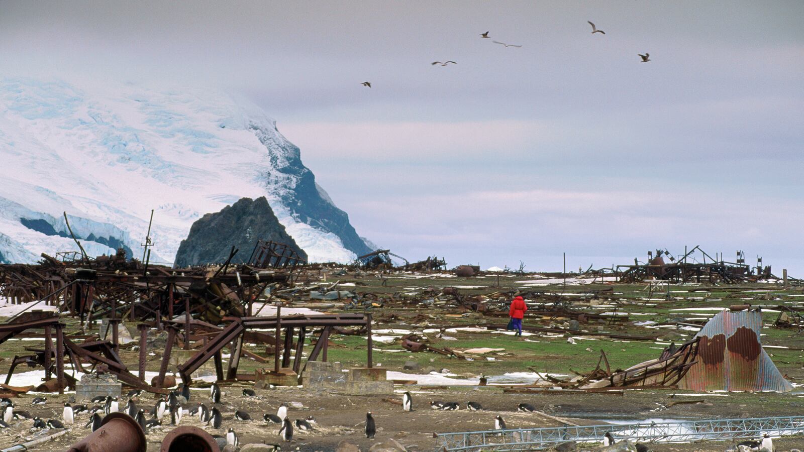 GettyImages-534296944_xteoxa