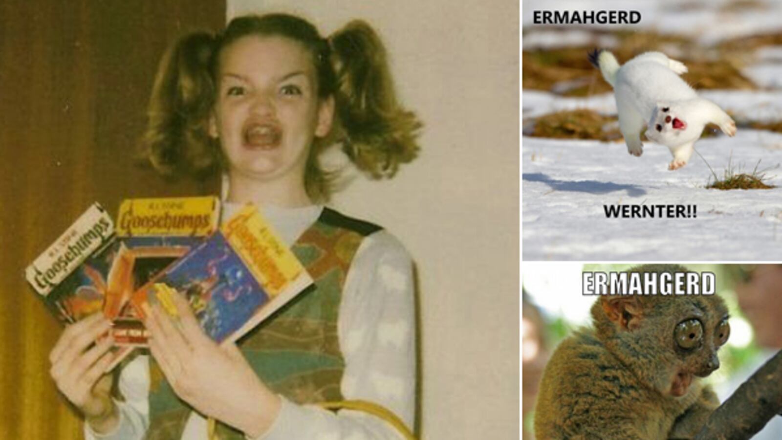 galleries/2012/06/23/meme-of-the-week-ermahgerd-animals/meme-of-the-week-ermahgerd-animals-tease_tyiypp