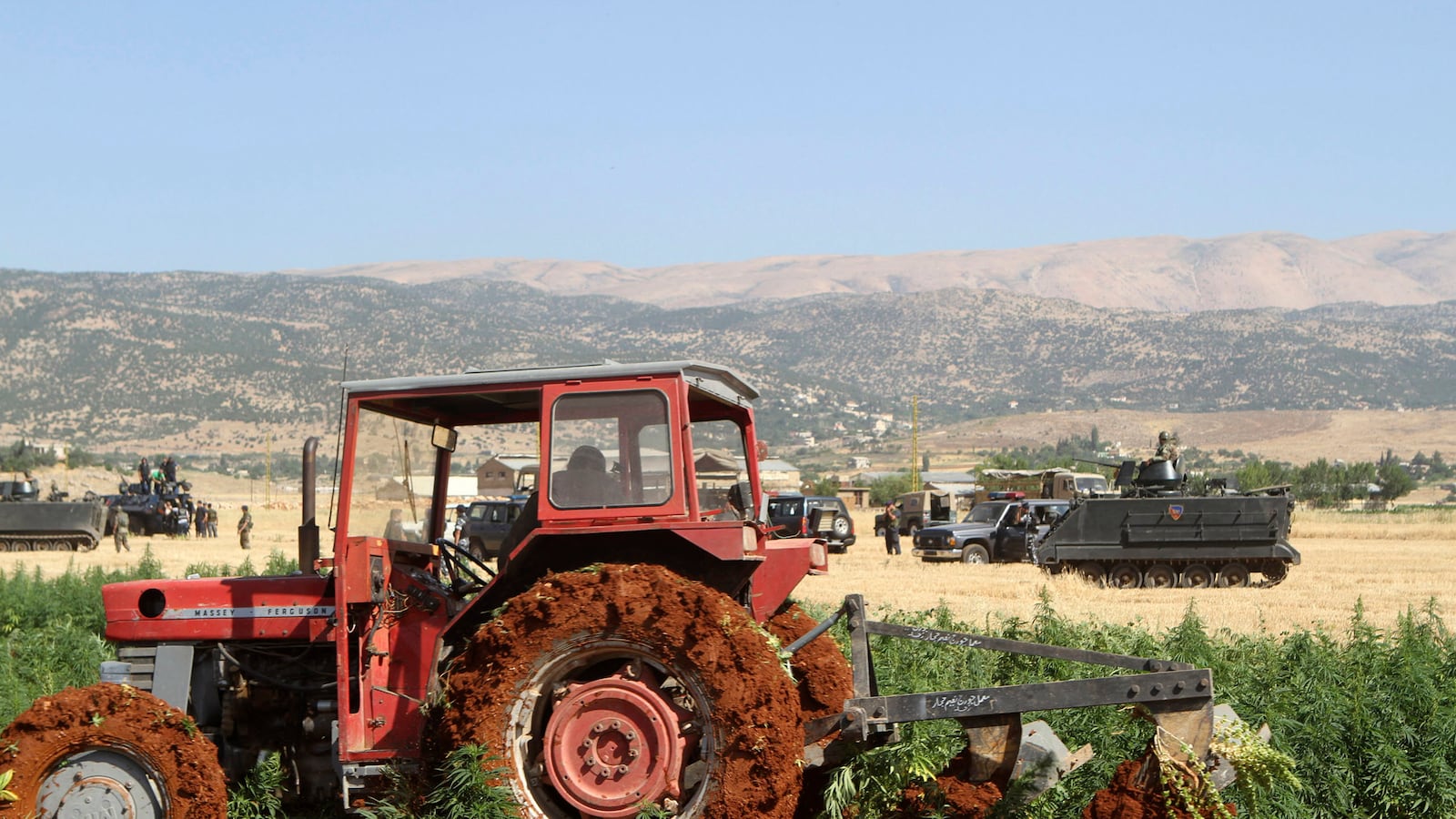 articles/2015/04/20/where-isis-gets-its-weed/150421-rosenfeld-isis-weed-tease2_hly9zk