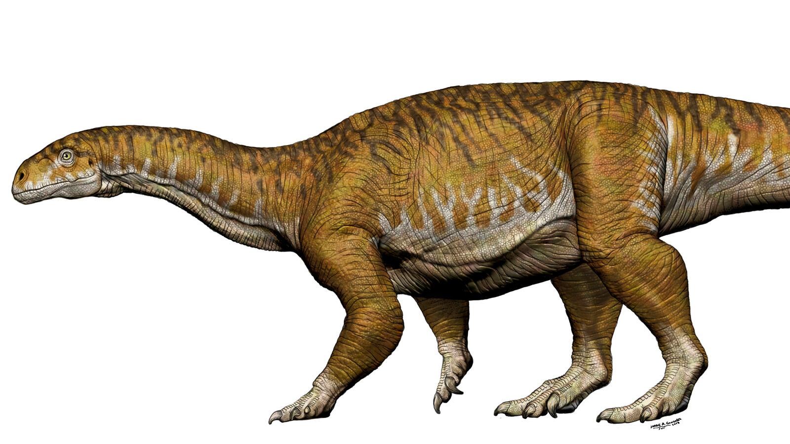 180709-new-dino-species-argentina-cheat_esauij
