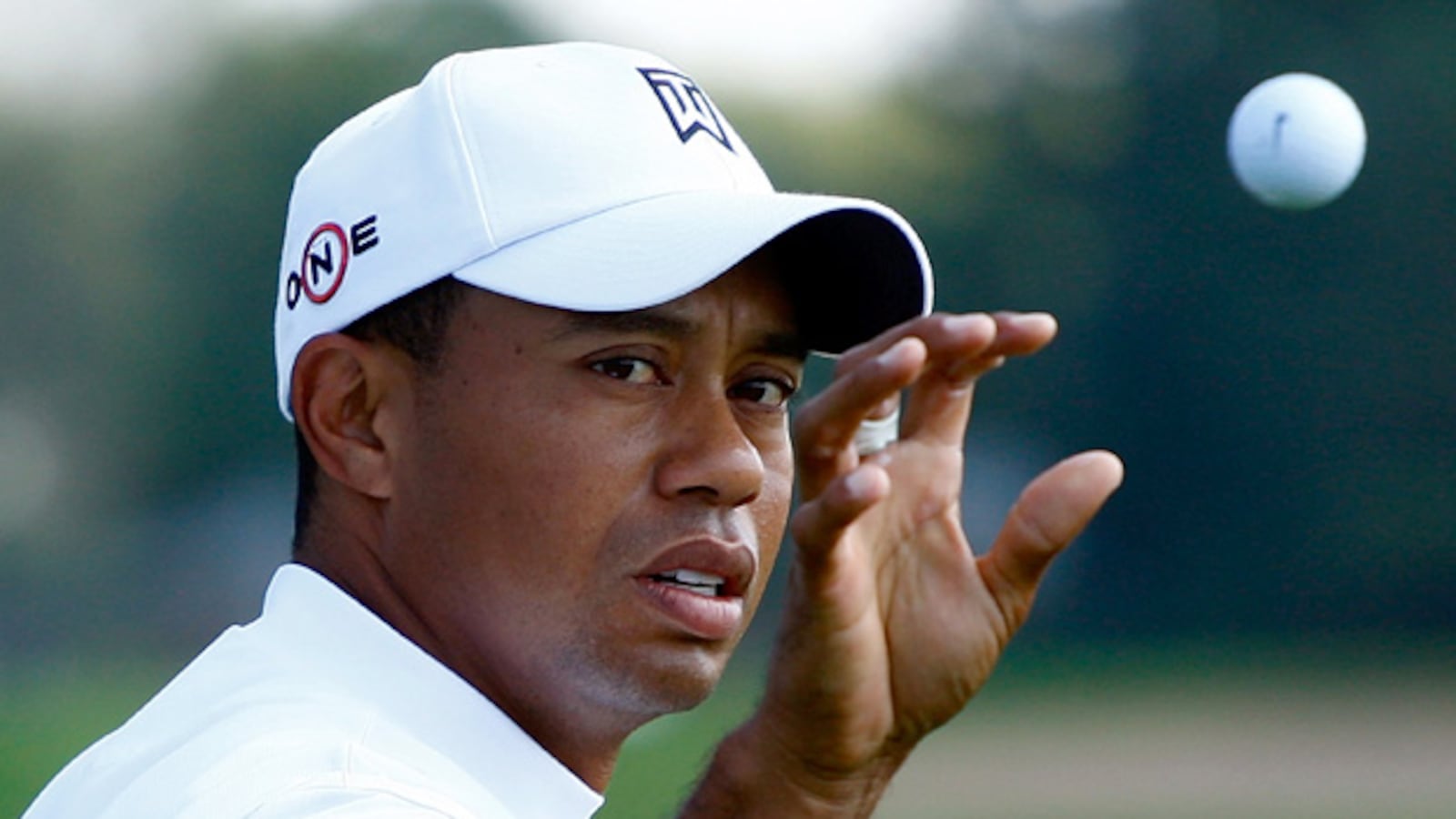 cheats/2012/03/25/tiger-wins-first-title-since-2009/cheaters-club---tiger-woods_acw7wm