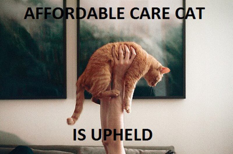 galleries/2012/06/28/the-internet-reacts-to-obamacare-best-of-the-memes/court-memes-affordable-care-cat_xbdozo