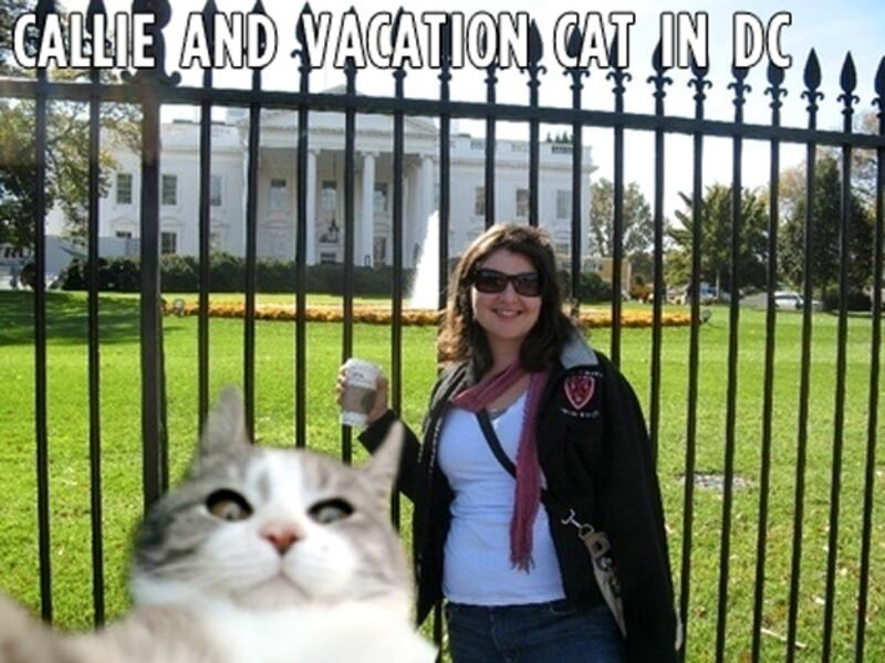 galleries/2011/11/11/the-week-s-best-internet-memes/111110-week-memes-06-vacation-cat_zwo1ru