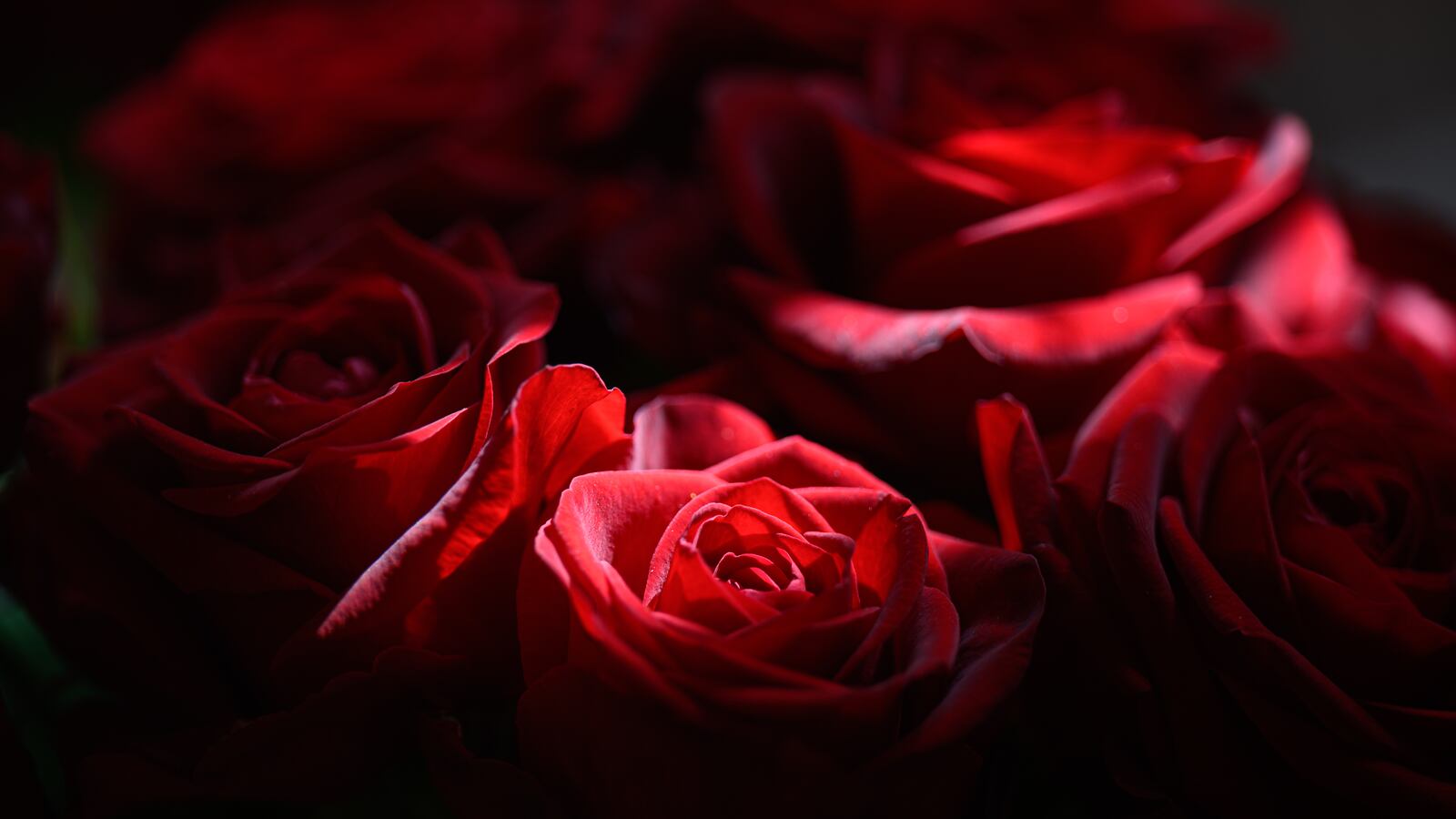 GettyImages-1239018123_c1jaxx