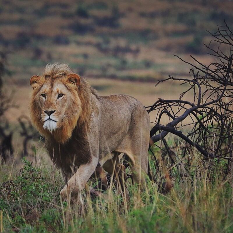 galleries/2015/04/05/beast-instagrammer-of-the-week-sam-horine/150403-instagram-sam8_leyaov