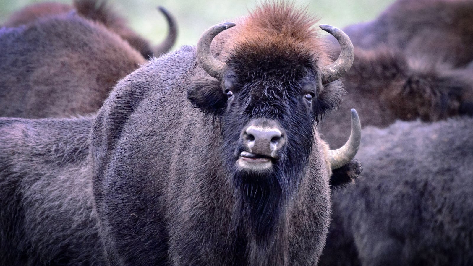 GettyImages-913389760_fztqs2