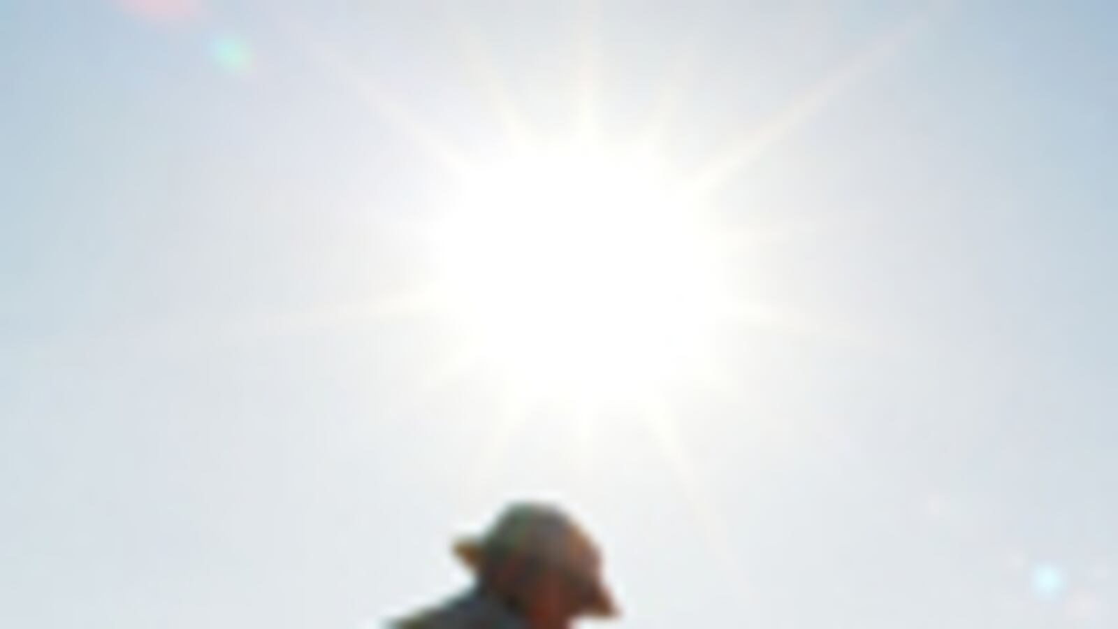 cheats/2010/10/22/us-to-defund-virtual-border-project/curtis-arizona-border_116581_odtmal