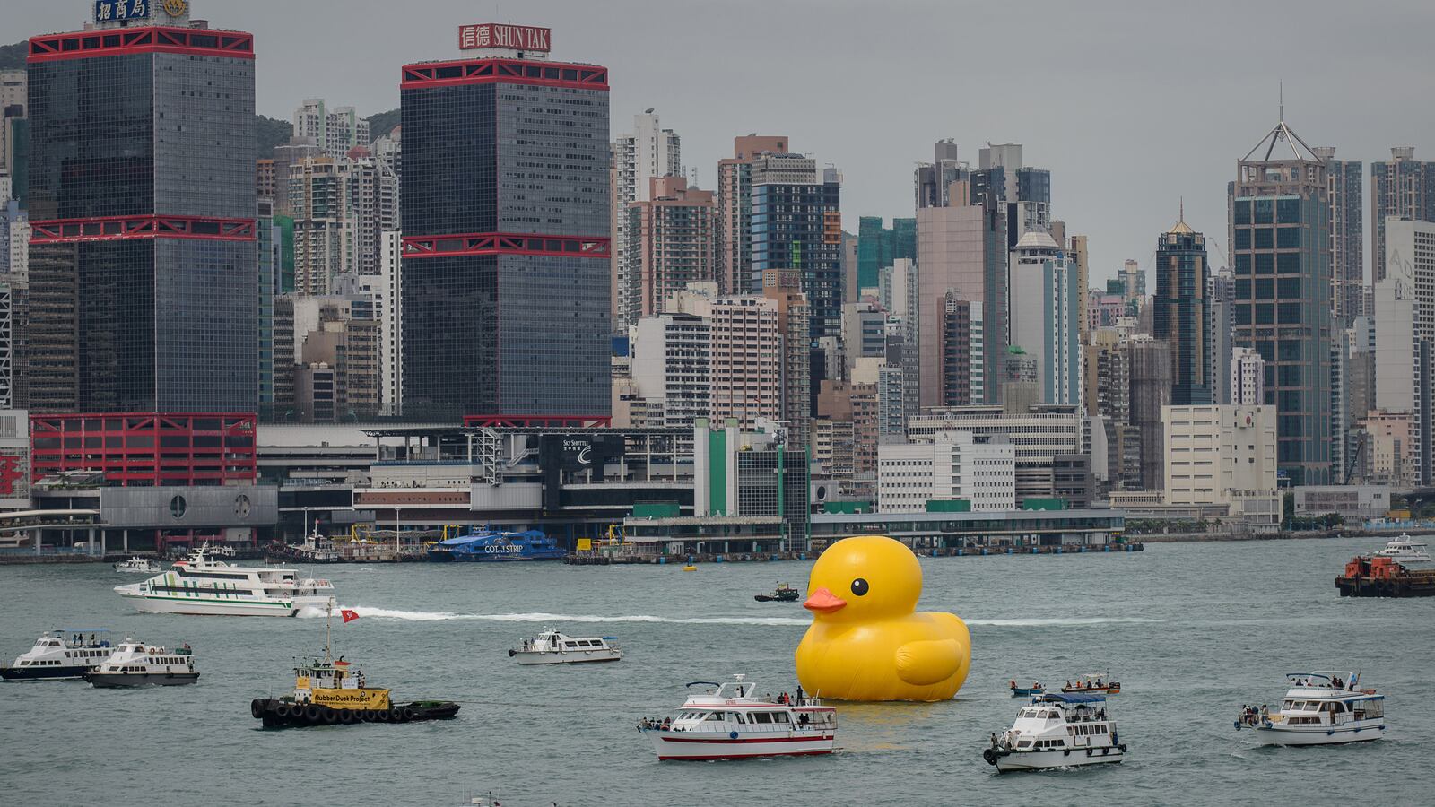 articles/2013/05/15/florentijn-hofman-s-rubber-duck-project-ignites-craze-in-hong-kong/130515-rubberduck-tease_q4ktb7